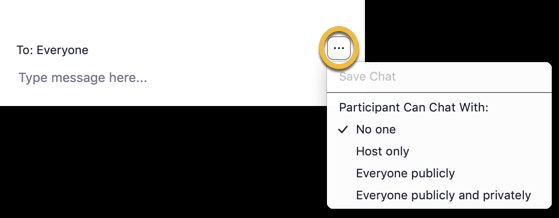 a screenshot of chat access control window