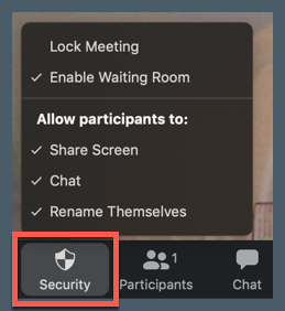 screenshot of security tab in Zoom
